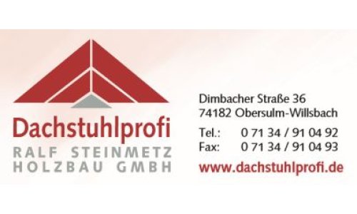 Logo Ralf Steinmetz